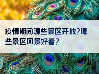 疫情期间哪些景区开放？哪些景区风景好看？