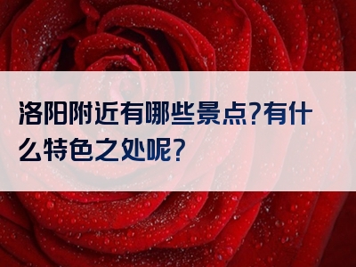 洛阳附近有哪些景点？有什么特色之处呢？