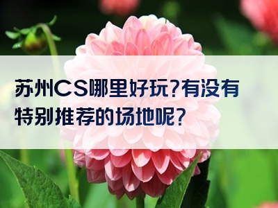 苏州CS哪里好玩？有没有特别推荐的场地呢？