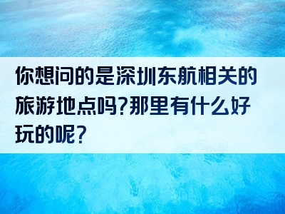 你想问的是深圳东航相关的旅游地点吗？那里有什么好玩的呢？