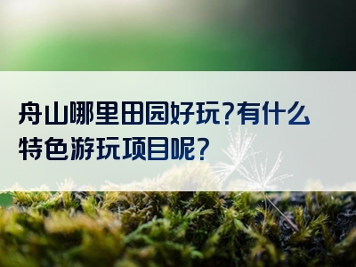 舟山哪里田园好玩？有什么特色游玩项目呢？