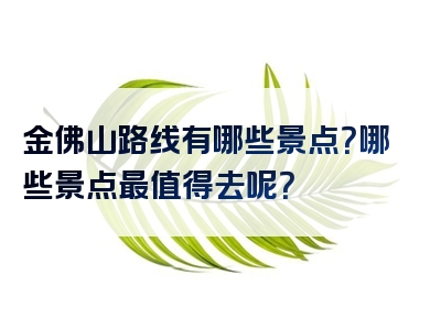 金佛山路线有哪些景点？哪些景点最值得去呢？