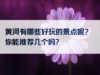 黄河有哪些好玩的景点呢？你能推荐几个吗？