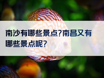 南沙有哪些景点？南昌又有哪些景点呢？