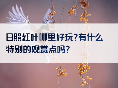 日照红叶哪里好玩？有什么特别的观赏点吗？