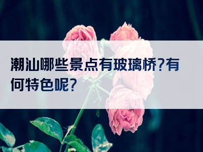 潮汕哪些景点有玻璃桥？有何特色呢？