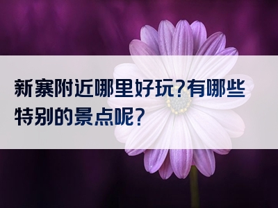 新寨附近哪里好玩？有哪些特别的景点呢？