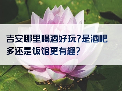 吉安哪里喝酒好玩？是酒吧多还是饭馆更有趣？