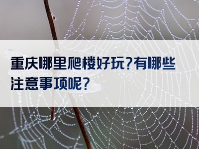 重庆哪里爬楼好玩？有哪些注意事项呢？