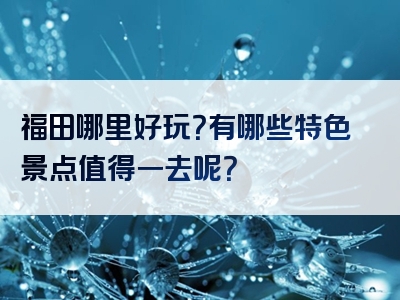 福田哪里好玩？有哪些特色景点值得一去呢？