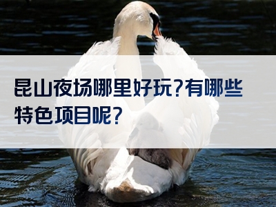 昆山夜场哪里好玩？有哪些特色项目呢？