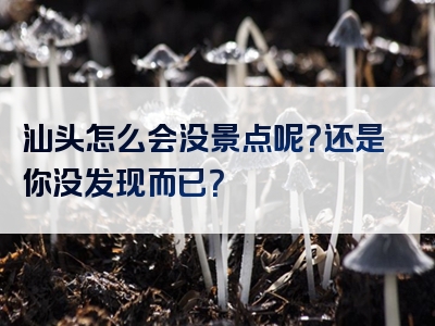 汕头怎么会没景点呢？还是你没发现而已？