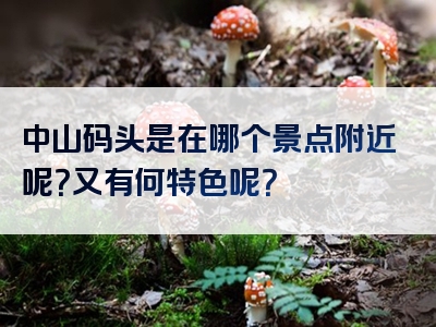 中山码头是在哪个景点附近呢？又有何特色呢？