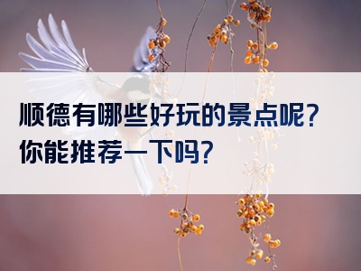 顺德有哪些好玩的景点呢？你能推荐一下吗？