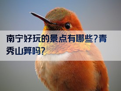 南宁好玩的景点有哪些？青秀山算吗？