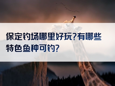 保定钓场哪里好玩？有哪些特色鱼种可钓？