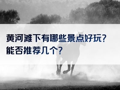 黄河滩下有哪些景点好玩？能否推荐几个？