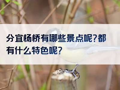 分宜杨桥有哪些景点呢？都有什么特色呢？