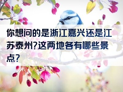 你想问的是浙江嘉兴还是江苏泰州？这两地各有哪些景点？