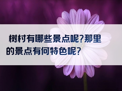 棪树村有哪些景点呢？那里的景点有何特色呢？