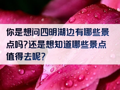 你是想问四明湖边有哪些景点吗？还是想知道哪些景点值得去呢？