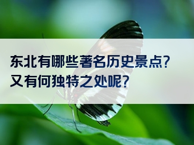 东北有哪些著名历史景点？又有何独特之处呢？