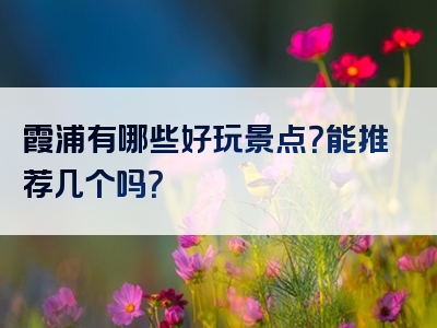 霞浦有哪些好玩景点？能推荐几个吗？