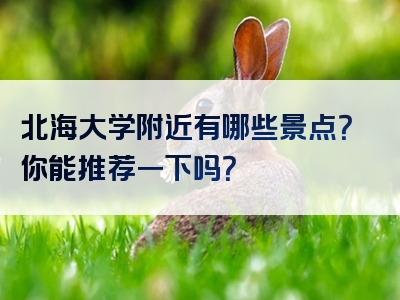 北海大学附近有哪些景点？你能推荐一下吗？