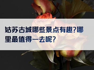 姑苏古城哪些景点有趣？哪里最值得一去呢？