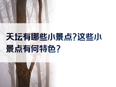 天坛有哪些小景点？这些小景点有何特色？