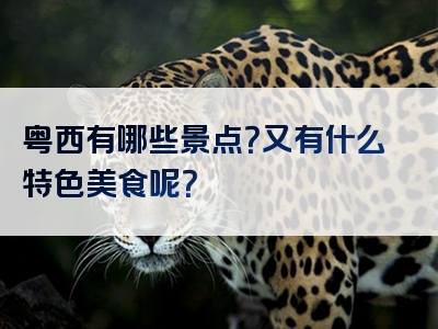 粤西有哪些景点？又有什么特色美食呢？