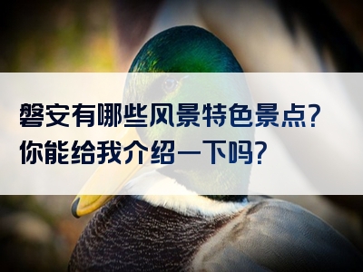 磐安有哪些风景特色景点？你能给我介绍一下吗？