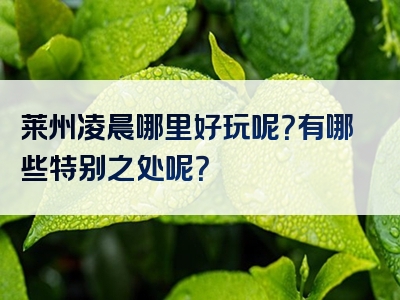 莱州凌晨哪里好玩呢？有哪些特别之处呢？