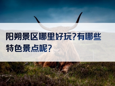 阳朔景区哪里好玩？有哪些特色景点呢？