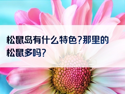 松鼠岛有什么特色？那里的松鼠多吗？