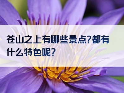 苍山之上有哪些景点？都有什么特色呢？