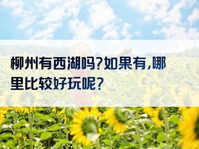 柳州有西湖吗？如果有，哪里比较好玩呢？