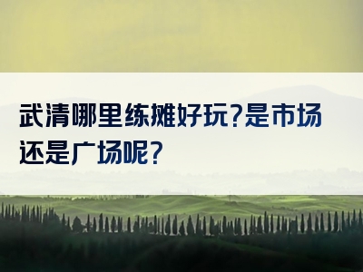 武清哪里练摊好玩？是市场还是广场呢？