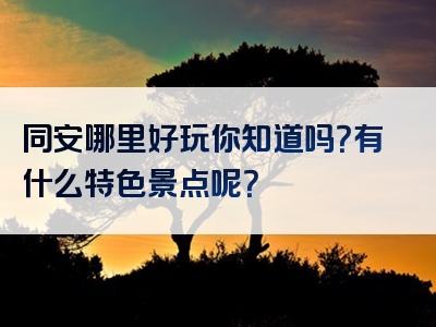 同安哪里好玩你知道吗？有什么特色景点呢？