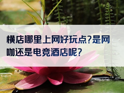 横店哪里上网好玩点？是网咖还是电竞酒店呢？