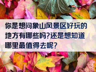 你是想问象山风景区好玩的地方有哪些吗？还是想知道哪里最值得去呢？