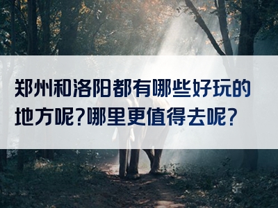 郑州和洛阳都有哪些好玩的地方呢？哪里更值得去呢？