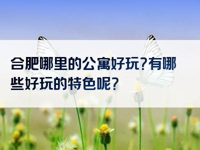 合肥哪里的公寓好玩？有哪些好玩的特色呢？