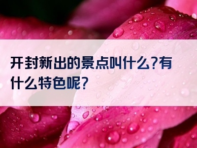 开封新出的景点叫什么？有什么特色呢？