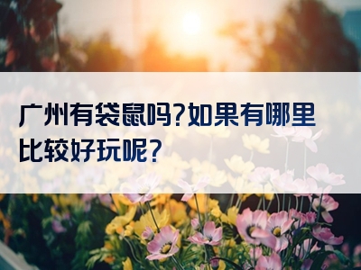 广州有袋鼠吗？如果有哪里比较好玩呢？