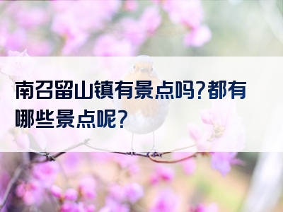 南召留山镇有景点吗？都有哪些景点呢？