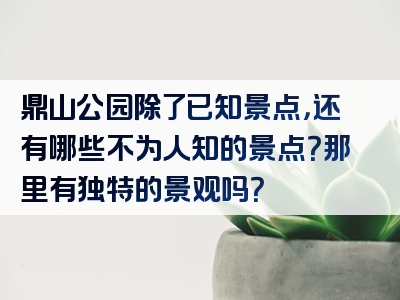 鼎山公园除了已知景点，还有哪些不为人知的景点？那里有独特的景观吗？