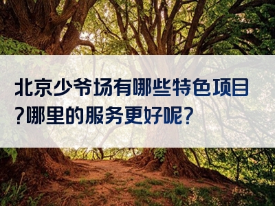 北京少爷场有哪些特色项目？哪里的服务更好呢？