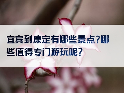 宜宾到康定有哪些景点？哪些值得专门游玩呢？