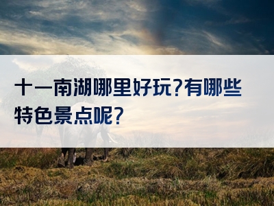 十一南湖哪里好玩？有哪些特色景点呢？